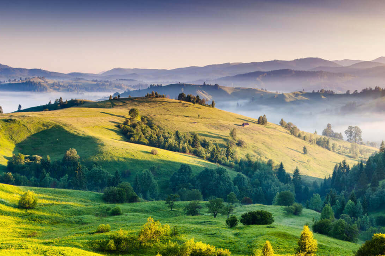 Fields landscape